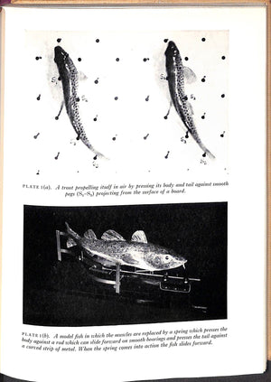 "How Animals Move: The Royal Institution Christmas Lectures 1951" Gray, James