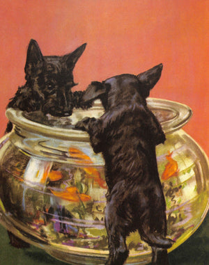 "Puppy Stories" 1934 BEAUDRY, Evien G.