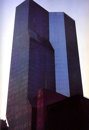 "New York In Photographs" 1980 WOLF, Reinhart