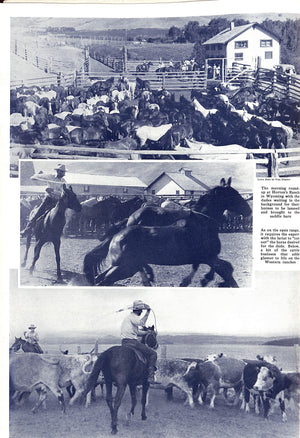 "The Spur: June, 1935"